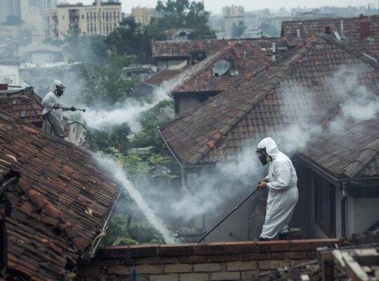 B2B Commercial Compliance: Pest Control Services in Kenya